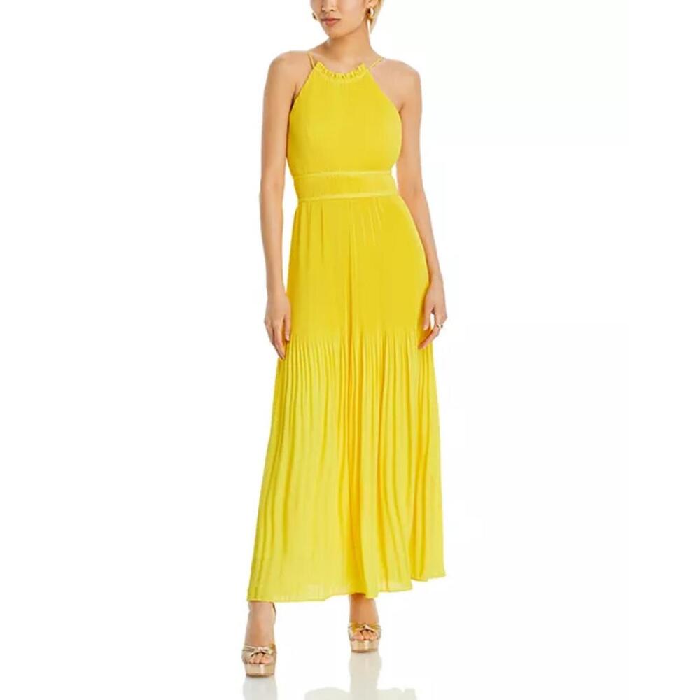 Amur Garren Pleated Maxi Dress